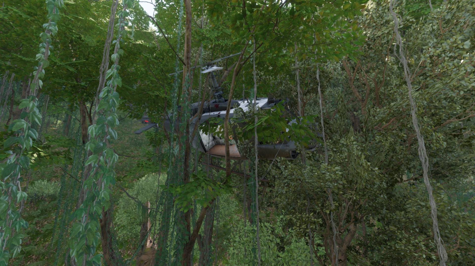Huey in jungle canopy
