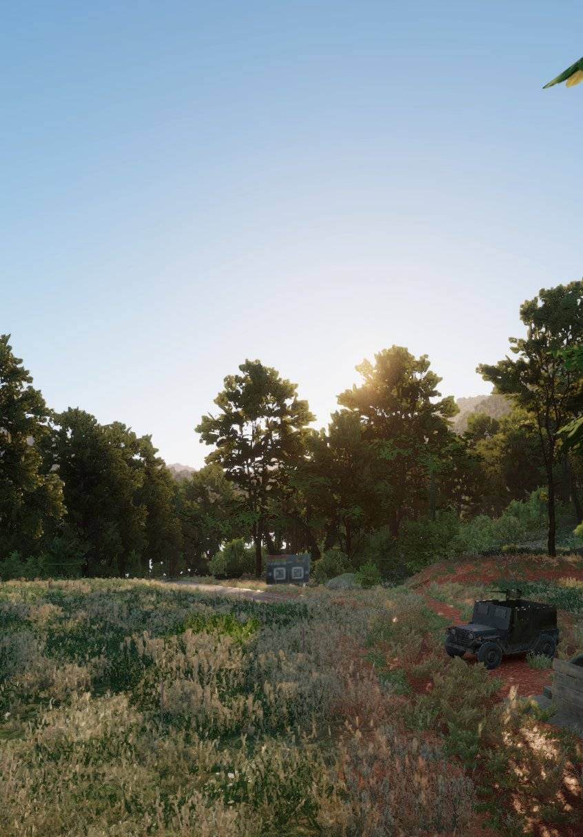 Sunset jungle landscape